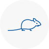 Mice Exterminators In Cranford